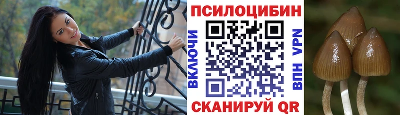 Псилоцибиновые грибы Psilocybine cubensis  Купить закладки  Каменка 